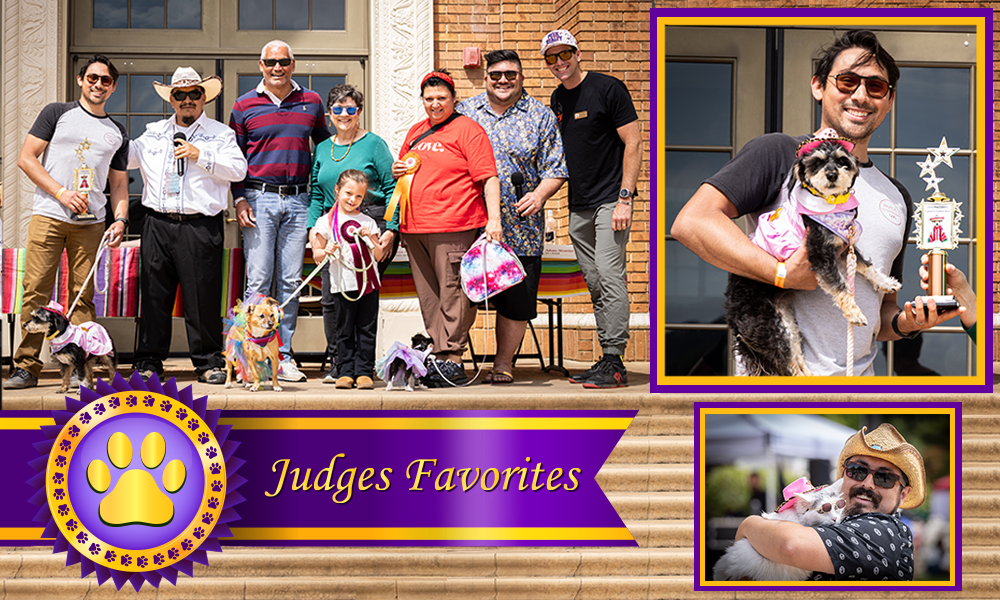 Image of 2025 Pet Costume Contest winners